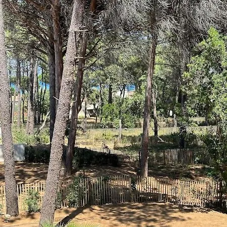 Plages De La Nartelle- Maxime - Piscines Privees