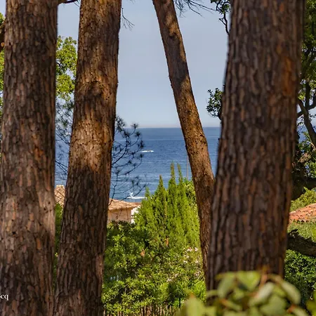 Plages De La Nartelle- Maxime - Piscines Privees Sainte-Maxime